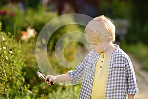 Charming kid exploring nature with magnifying glass