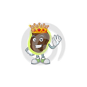 A charming King of firmicutes cartoon character design with gold crown