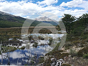 Charming landscape near Ushuaia, Tierra del Fuego, Argentina