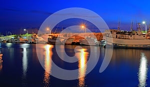 Charming lights and beautiful fish harbor night view