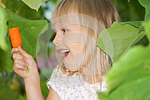 Charming little girl in the garden with carrots. Healthy eating. Ingathering. Pesticide-free.