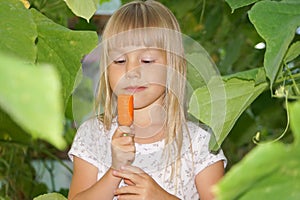 Charming little girl in the garden with carrots. Healthy eating. Ingathering. Pesticide-free.