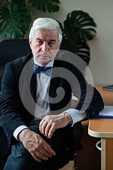 Charming mature gray-haired man at his desk.