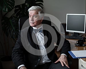 Charming mature gray-haired man at his desk.