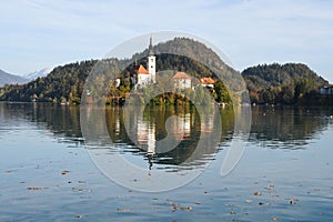 the charming natural scenery of Lake Bled with Alps at background and blue water