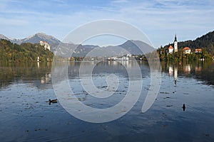 the charming natural scenery of Lake Bled with Alps at background and blue water