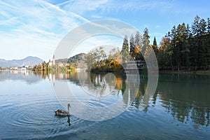 the charming natural scenery of Lake Bled with Alps at background and blue water