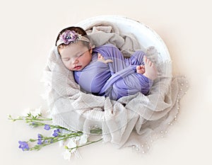 Charming newborn sleeping in cradle