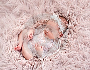 Charming newborn wearing lace suit