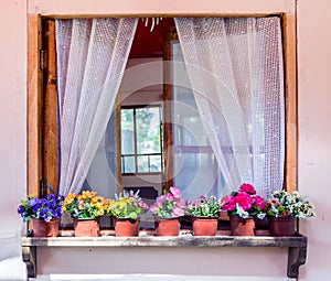 Charming Nostalgia: Colorful Flower Pot on a Wooden Window