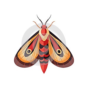 Charming Notodontid Artwork Highlighting Unique Features