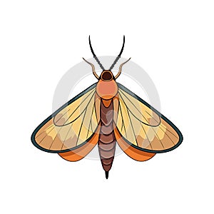 Charming Notodontid Artwork Highlighting Unique Features