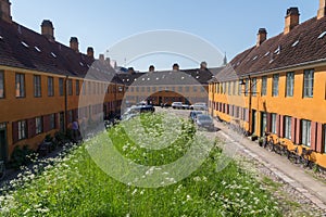 Charming old row houses in the district of Nyboder, Copenhagen, Denmark on a summer day