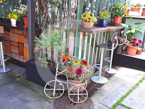 Charming patio with flowers and vintage cycle photo