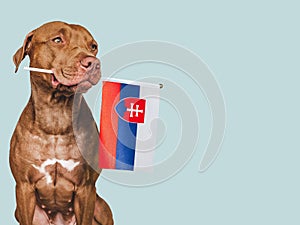 Charming puppy with the national Flag of Slovakia