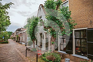 Charming and quiet street with brick rustic houses and greenery in cloudy day at Drimmelen.