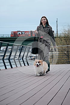 Charming red fluffy Welsh corgi Pembroke is like a fox. A young pretty Caucasian woman walks with her dog along the Sava