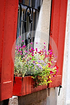 Charming red shuttered window with planter's box in Charleston, SC.