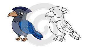 Charming Amazonian Umbrellabird Representation