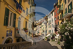 Charming Riomaggiore fishing village with colorful buildings