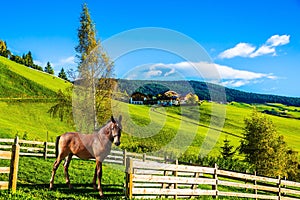 Charming rural landscape in the Dolomites