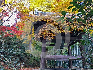 Charming scene of colorful autumn trees with bell tower in japanese temple for background