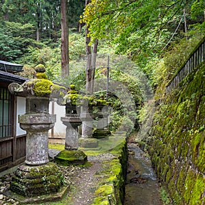 Charming scene of japanese stone lanterns with green moss with fresh green trees, background