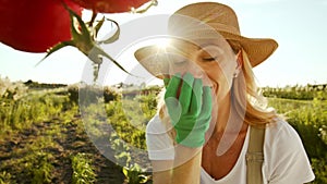 A charming smiling middle aged woman is growing vegetables and checking the harvest. A lady evaluates the ripeness of