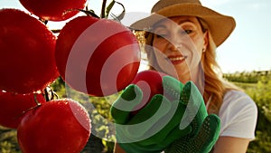 A charming smiling middle aged woman is growing vegetables and checking the harvest. A lady evaluates the ripeness of