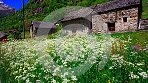 Charming Sonogno village in Ticino, Switzerland