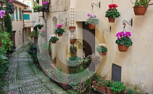 Charming streets of medieval towns, Spello ,Italy.