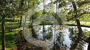 Charming summer park landscape with channel among trees and green grass reverberating in water with lake in the background