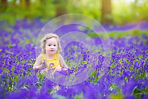 Charming toddler girl in bluebell flowers in spring forest