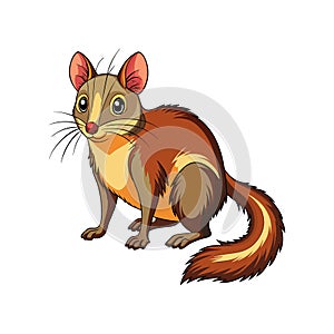 Charming Tree Shrew Color Illustration
