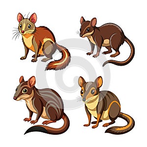 Charming Tree Shrew Color Illustration