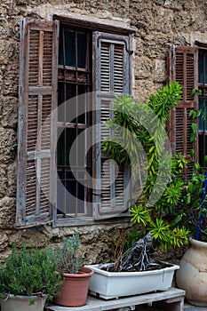 Charming vintage windows with shutters on a stone facade adorned with lush greenery and potted plants in Neve Tzedek, Tel Aviv-