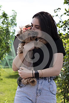 Charming young brunette woman in a black T-shirt and denim shorts with a cute dog Yorkshire terrier in her arms