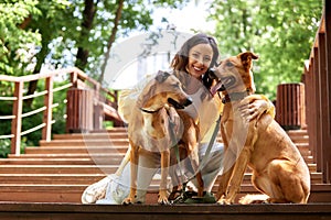Charming young smiling girl playing with two golden colored dogs sitting on the steps of the stairs in the park on a