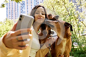 Charming young smiling girl with two golden dogs on a walk on a sunny day. The girl plays with pets and takes a selfie photo