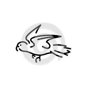 Charmosyna rubronotata color icon