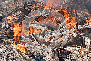 Charred and burning logs inside intense fire with orange and yellow flames in fire pit