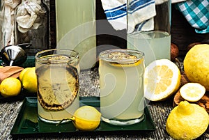 Charred lemon slices drink garnish and for making burnt lemonade