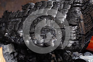 Charred log