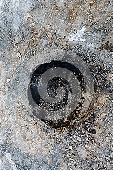 A charred stump from a burnt palm tree