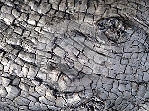 Charred texture