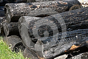 Charred wood logs after a fire