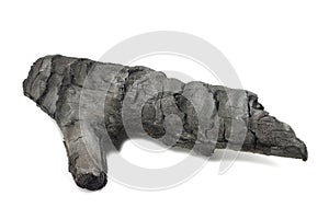 Charred wooden log