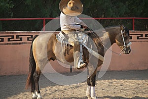 Charros Mexican horeseman, TX, US