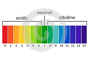 Chart ph alkaline and acidic scale vector