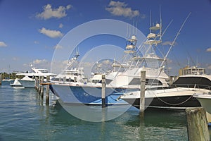Charter Fishing Boats, West Palm Beach, Florida, USA photo